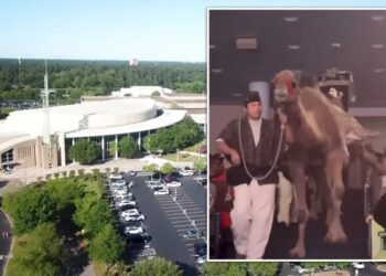 Shocking video shows camel kick woman in face, knocking her out at Texas megachurch Christmas celebration