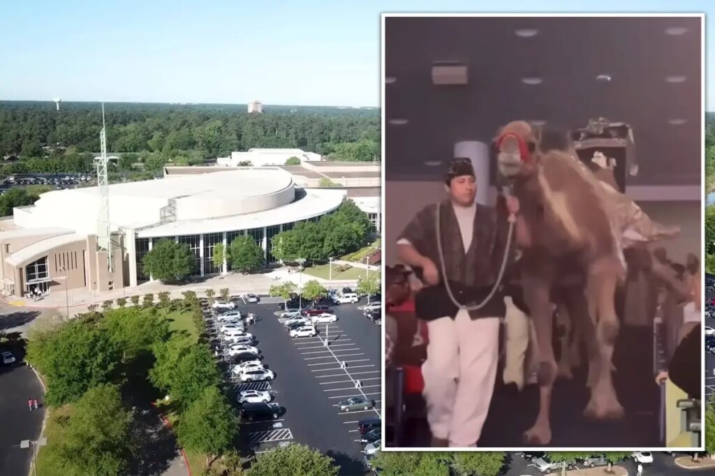 Shocking video shows camel kick woman in face, knocking her out at Texas megachurch Christmas celebration