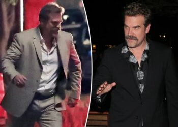 David Harbour accused of stealing fan’s hat in bizarre bar incident as actor’s personal woes rage on
