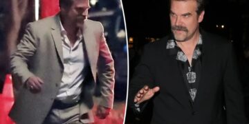 David Harbour accused of stealing fan’s hat in bizarre bar incident as actor’s personal woes rage on