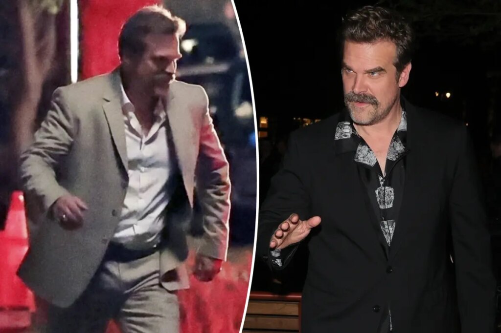 David Harbour accused of stealing fan’s hat in bizarre bar incident as actor’s personal woes rage on