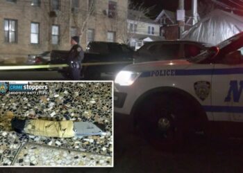 NYPD officer shoots, kills box cutter-wielding madman in front of his parents