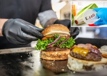 What food safety experts say they won’t order when dining out at restaurants