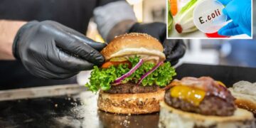 What food safety experts say they won’t order when dining out at restaurants