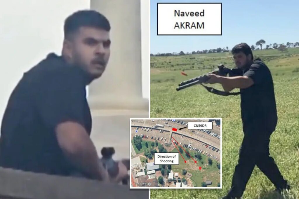 Police statement of facts against 24-year-old alleged Bondi gunman Naveed Akram revealed in court