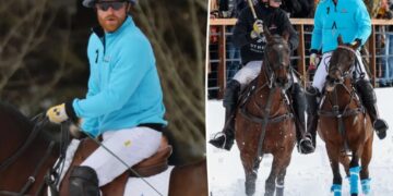 Prince Harry drops royal title at Aspen polo match after insisting on keeping it post-UK exit