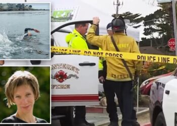 Female triathlete, 55, feared to be shark attack victim after disappearing off Calif. coast