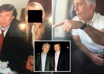 Trump flew on Epstein’s private jet ‘at least eight’ times between 1993 and 1996, new files reveal