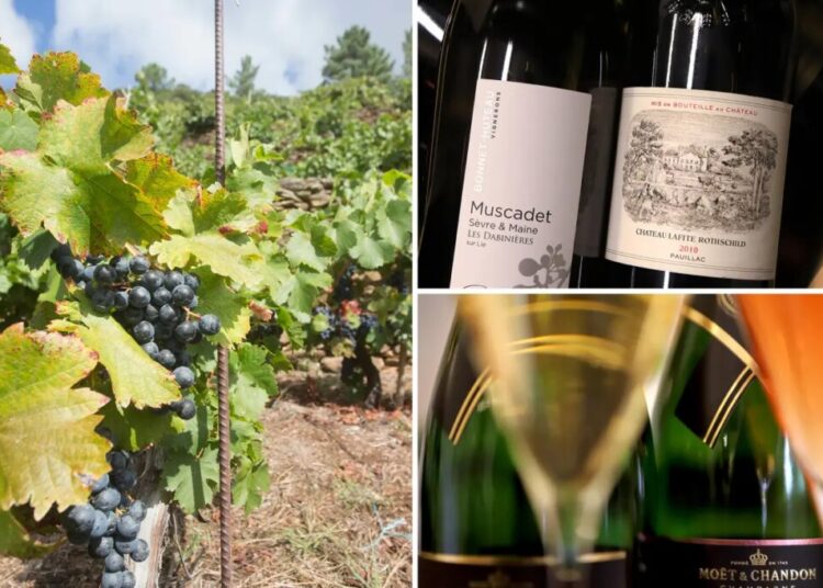 Fine wine prices slide for third year in a row as tariffs and stocks sap demand