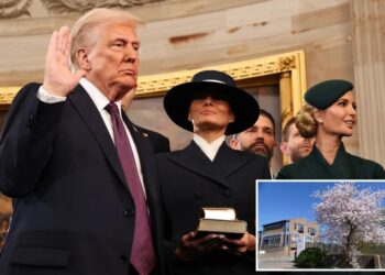 UK politics teacher reported to terrorism investigators for showing students Trump videos: ‘Dystopian’