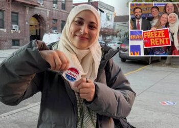 Mamdani-backed Queens Assembly candidate hates American holidays like Veterans Day, July 4th