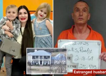 Chilling discovery made days after mom and her 6-year-old twins were found dead in mansion
