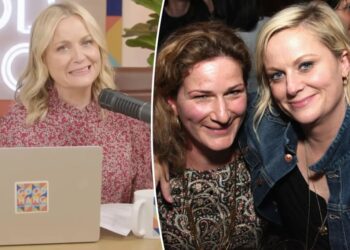 Amy Poehler’s Boston roots came out in wild plane fight in front of baby