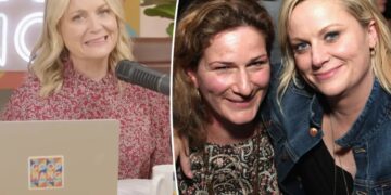 Amy Poehler’s Boston roots came out in wild plane fight in front of baby