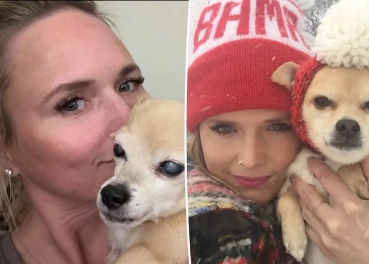 Miranda Lambert says goodbye to beloved 15-year-old rescue dog that’s been ‘on every tour’ she’s done since 2010