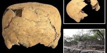 1,400-year-old skull with mysterious flat top found in ancient village, startling archaeologists