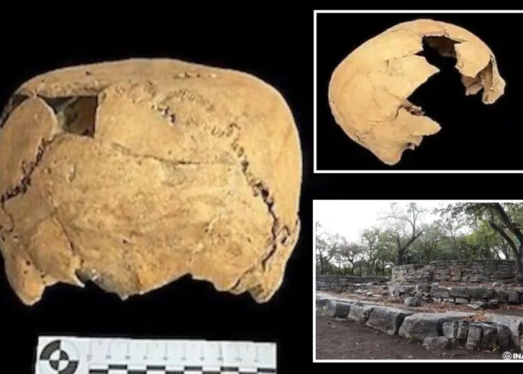 1,400-year-old skull with mysterious flat top found in ancient village, startling archaeologists
