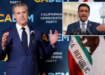 Silicon Valley Dem slams California officials over ‘$72B fraud’, calls for congressional hearing