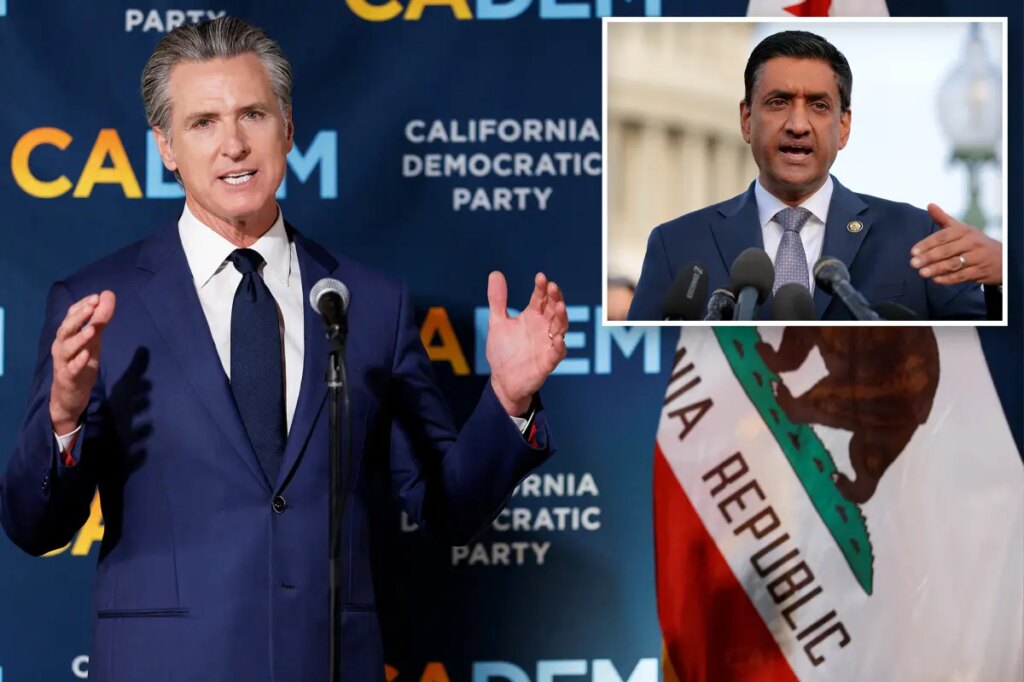Silicon Valley Dem slams California officials over ‘$72B fraud’, calls for congressional hearing