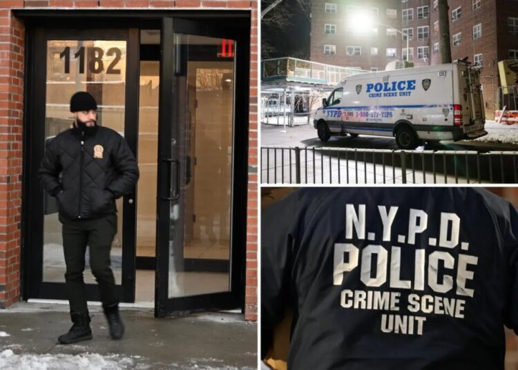 Woman stabbed to death inside NYC apartment, 2 people questioned: sources