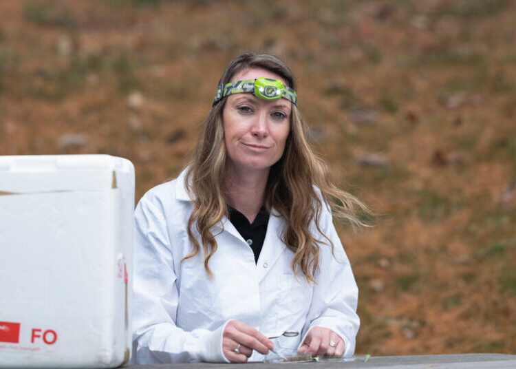 She Studied Mosquitoes to Prevent Malaria