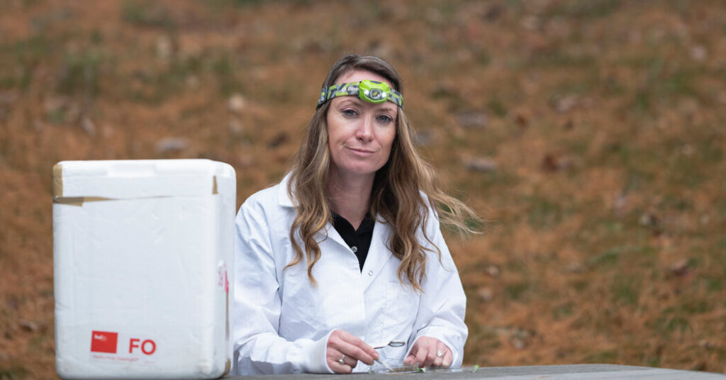 She Studied Mosquitoes to Prevent Malaria