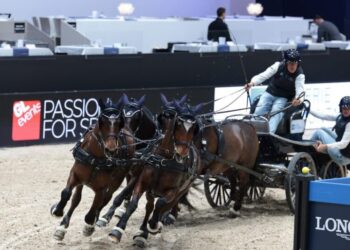 In the Sport of Driving, Four Horses Pull a Cart Around an Arena. Quickly.