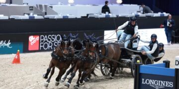In the Sport of Driving, Four Horses Pull a Cart Around an Arena. Quickly.