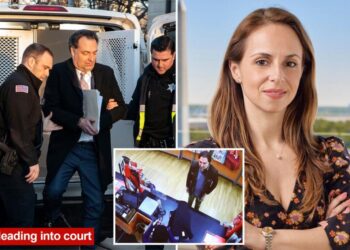 Brian Walshe guilty of murdering, dismembering wife Ana