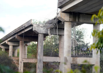 Thailand Rejects Trump’s Claim That It Reached a Cease-Fire With Cambodia