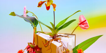 Our Book Critics on Their Year in Reading