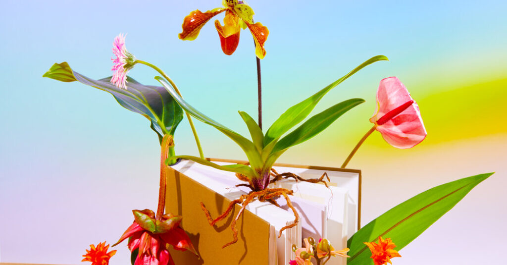 Our Book Critics on Their Year in Reading