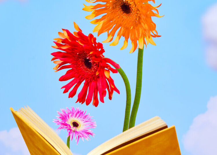 The Best Children’s Books of 2025