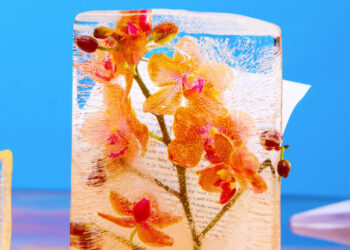 The Best Historical Fiction of 2025