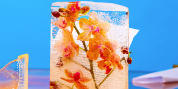 The Best Historical Fiction of 2025