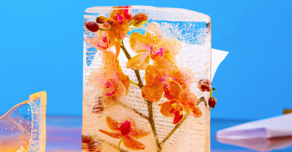 The Best Historical Fiction of 2025