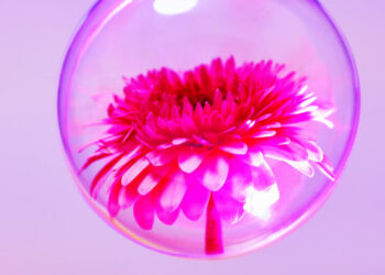 The Best Poetry of 2025