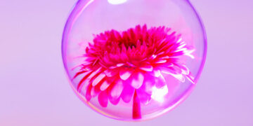 The Best Poetry of 2025