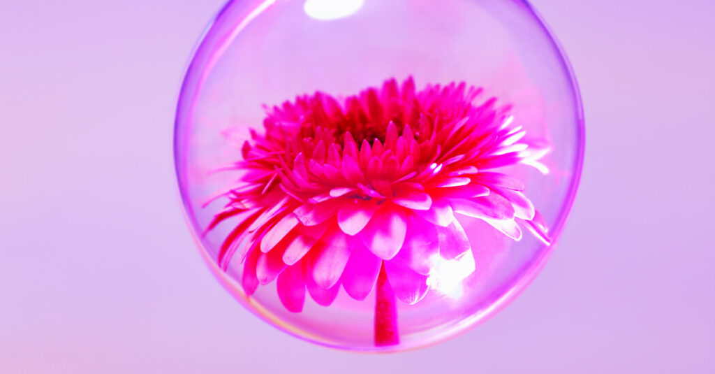 The Best Poetry of 2025