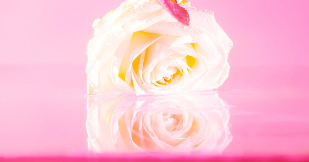 The Best Romance Novels of 2025