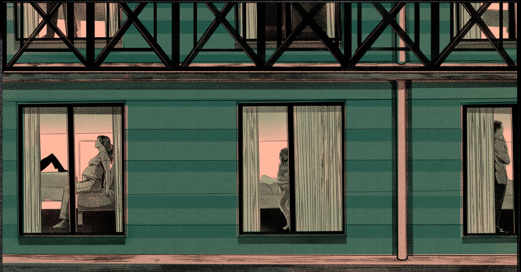 They Answered an Ad for Surrogates, and Found Themselves in a Nightmare