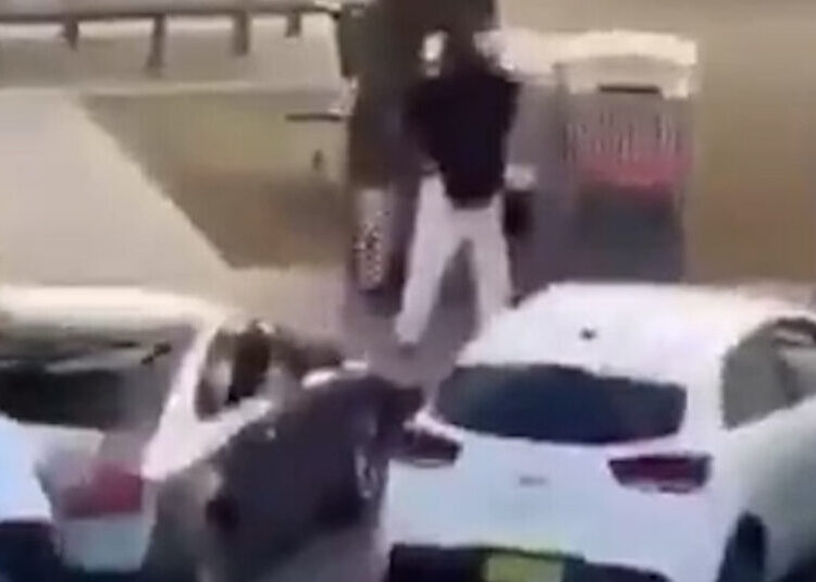 Bystander Tackled and Disarmed One of the Sydney Gunmen, Video Shows