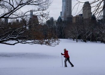 New York City Gets Its First Big Snowfall of the Season