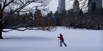 New York City Gets Its First Big Snowfall of the Season
