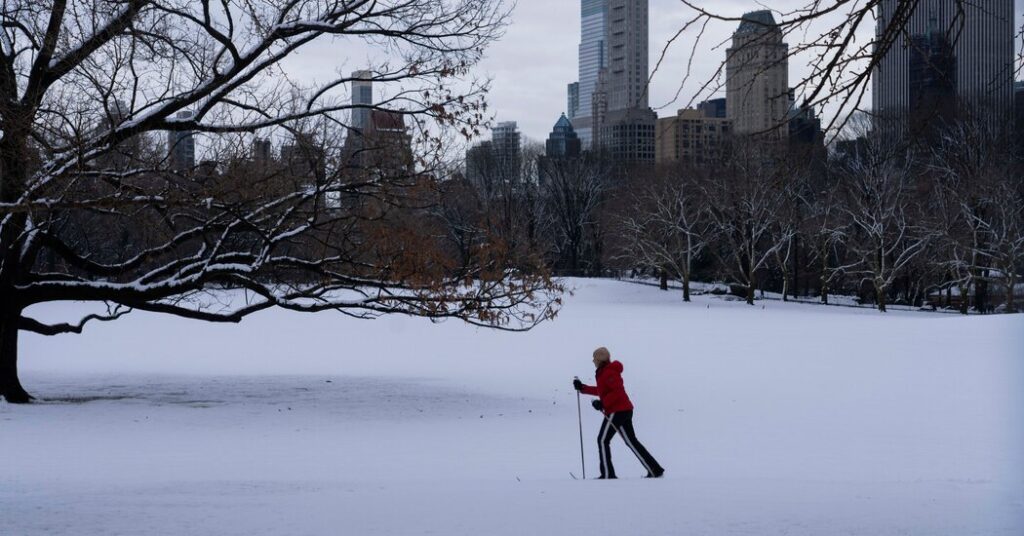 New York City Gets Its First Big Snowfall of the Season