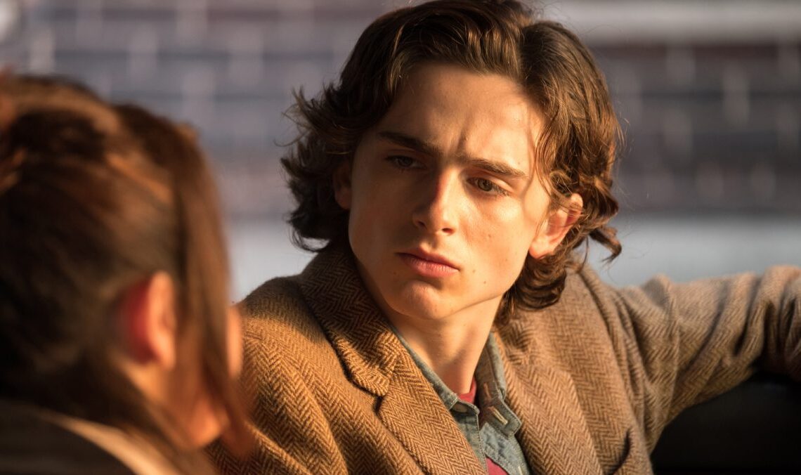 Timothée Chalamet Has Finally Responded to Speculation That He Is Masked Rapper EsDeeKid