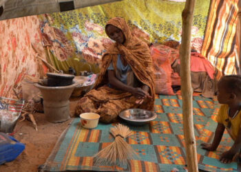 E.U. Flies 110 Tons of Aid to Darfur. But Will It Reach Those In Need?