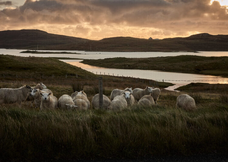 A Bleak Island, a Struggling Mill and a Very Distinctive Fabric