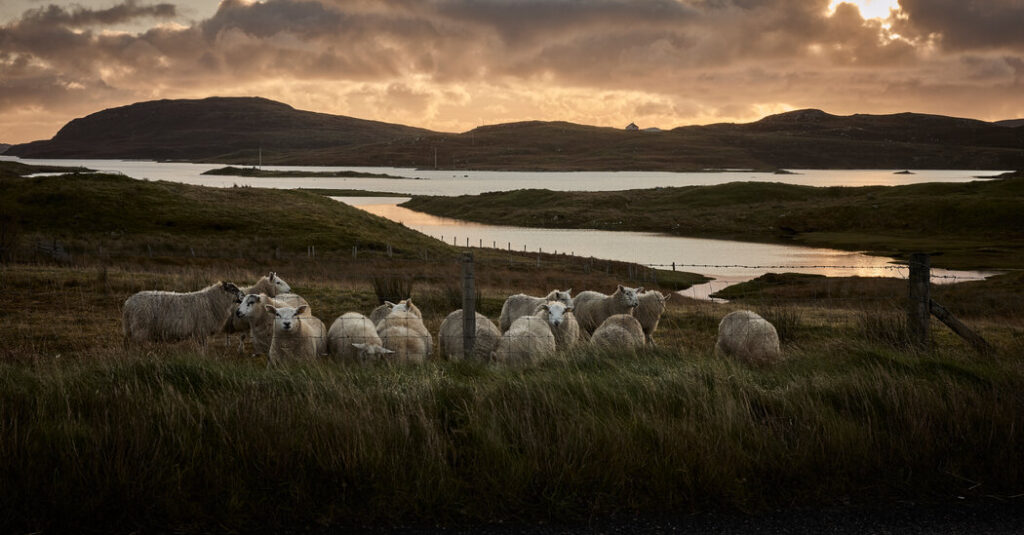 A Bleak Island, a Struggling Mill and a Very Distinctive Fabric