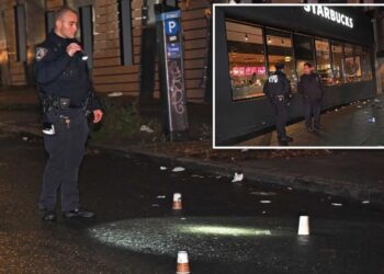 Teen left paralyzed by stray bullet at NYC football game: cops, sources